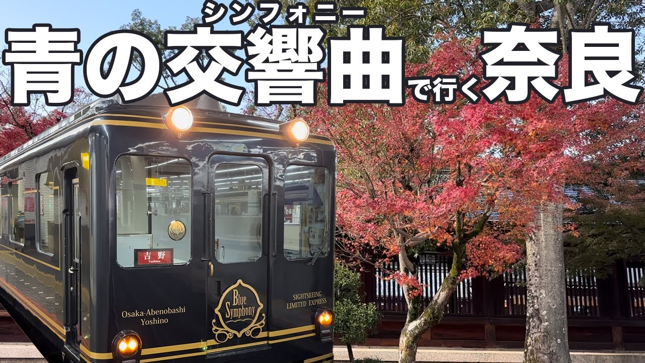 青の交響曲で行く！秋の奈良。大阪阿部野橋から橿原神宮前まで近鉄特急青の交響曲→橿原神宮→癒しのランチ&デザート☕️大人の遠足。