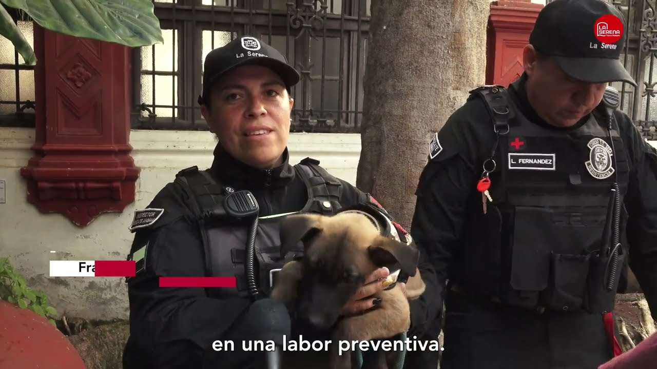 La Serena innova en seguridad ciudadana