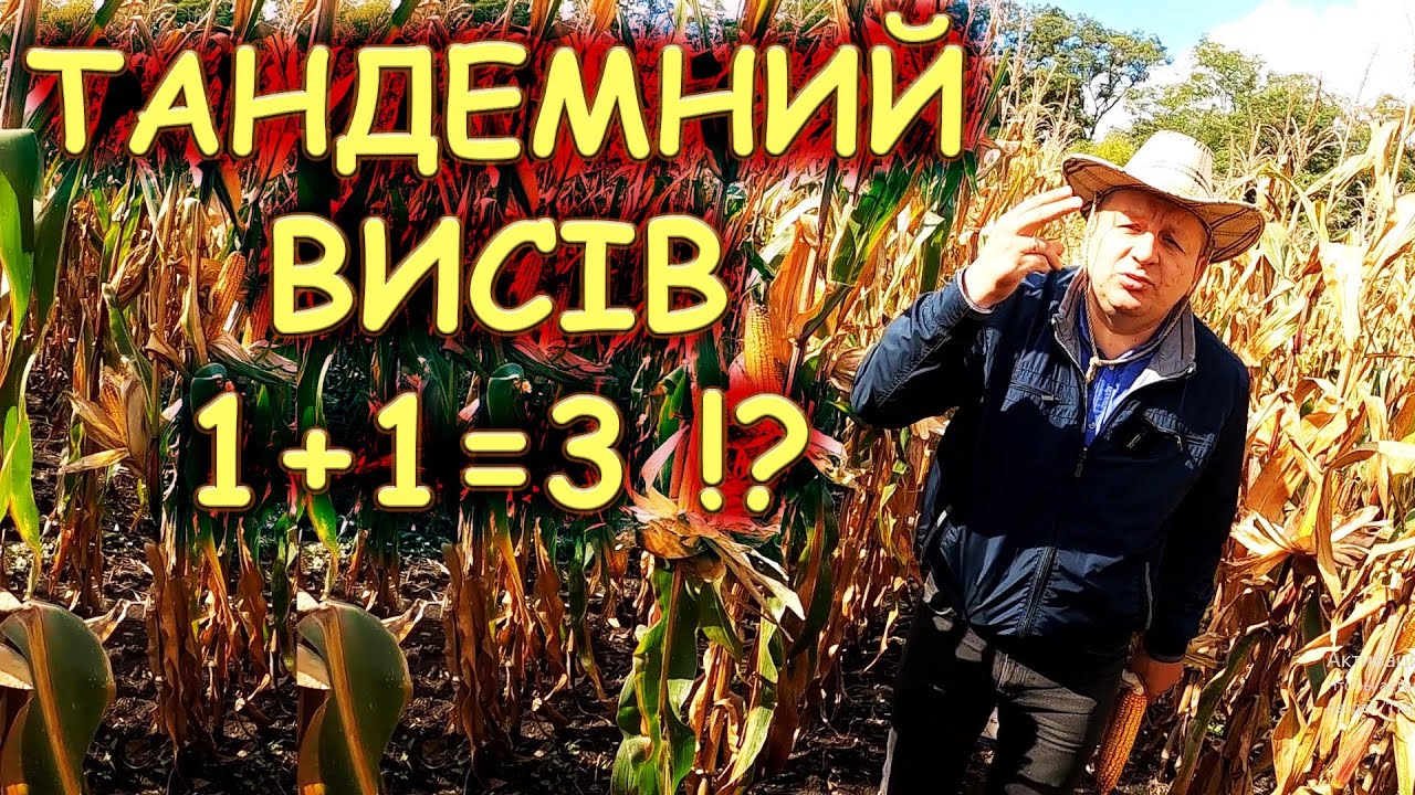 🤔ДВА ПОЧАТКИ ДВА ЗАПИЛЕННЯ 🌽ХОТИН ➕️ 🌽ФІЄСТА це ГАРНІ ДІТИ⁉️