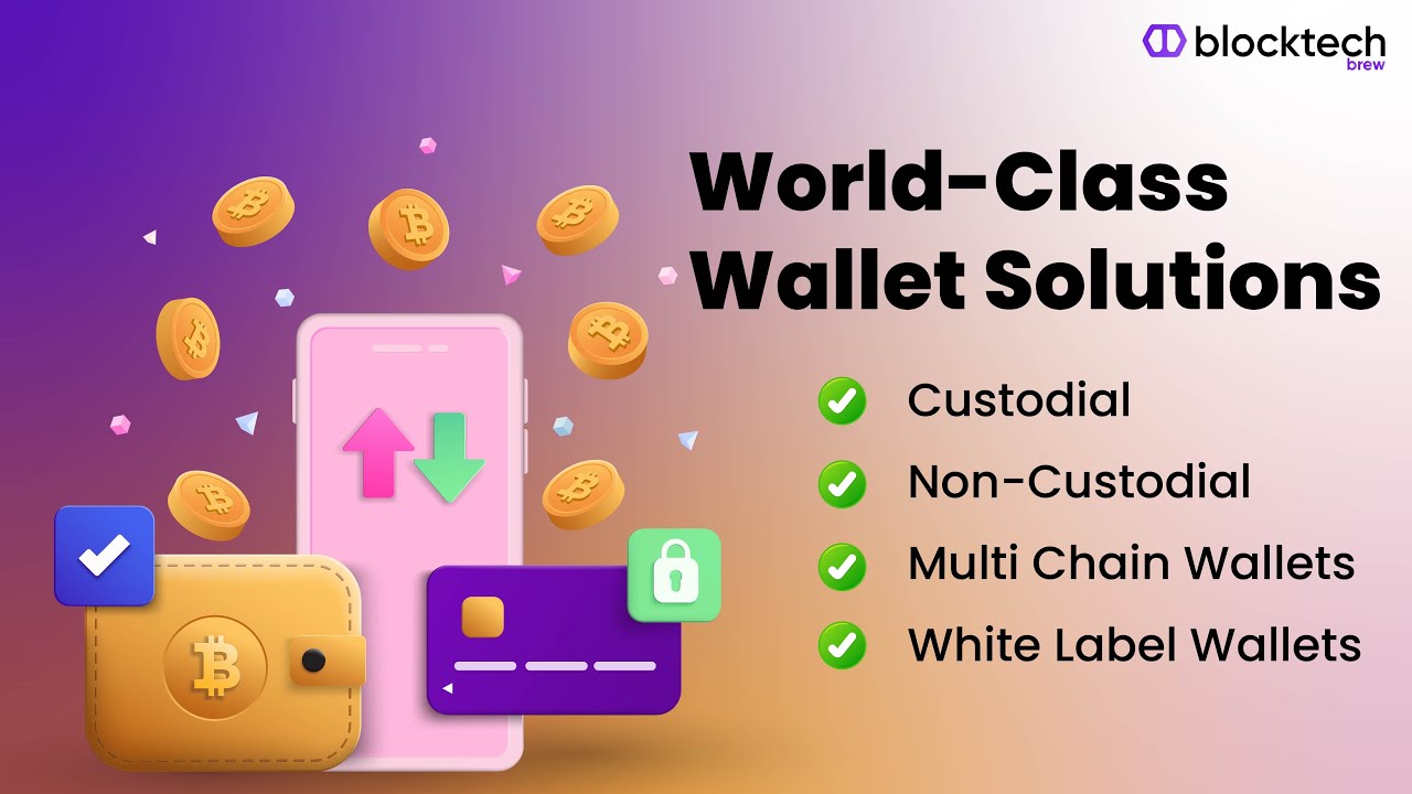 Get World-Class Wallet Solutions with Blocktech Brew | Best Wallet Development Company