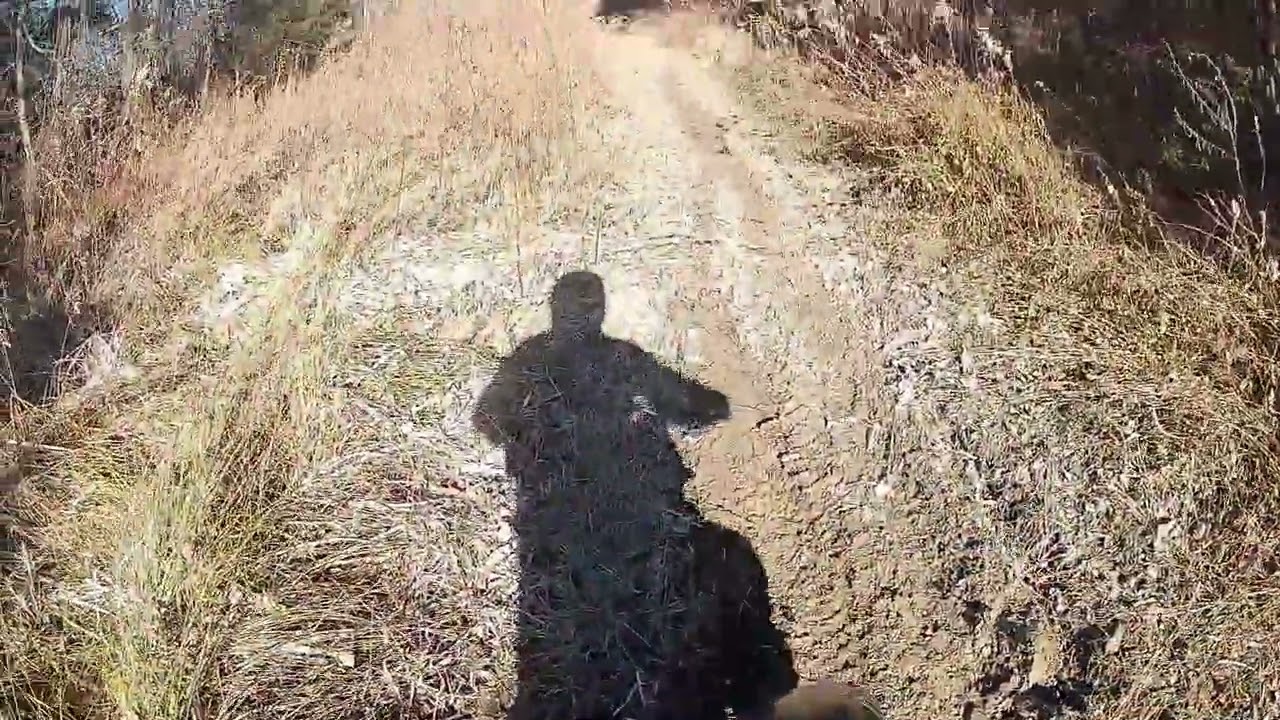 little rip behind my house on the kx 450!!