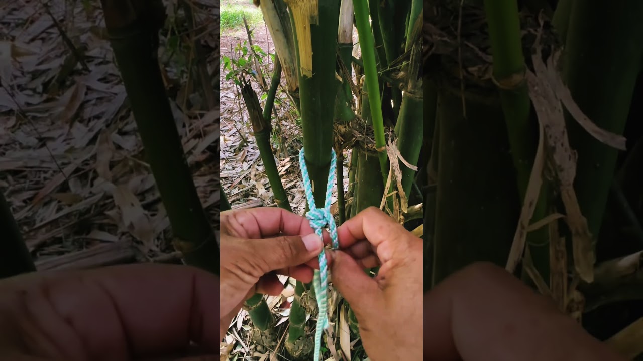 วิธีผูกเชือกหรือบ่วงรูด #tiearope #ดึงเชือก #diy #ต่อเชือก #rope