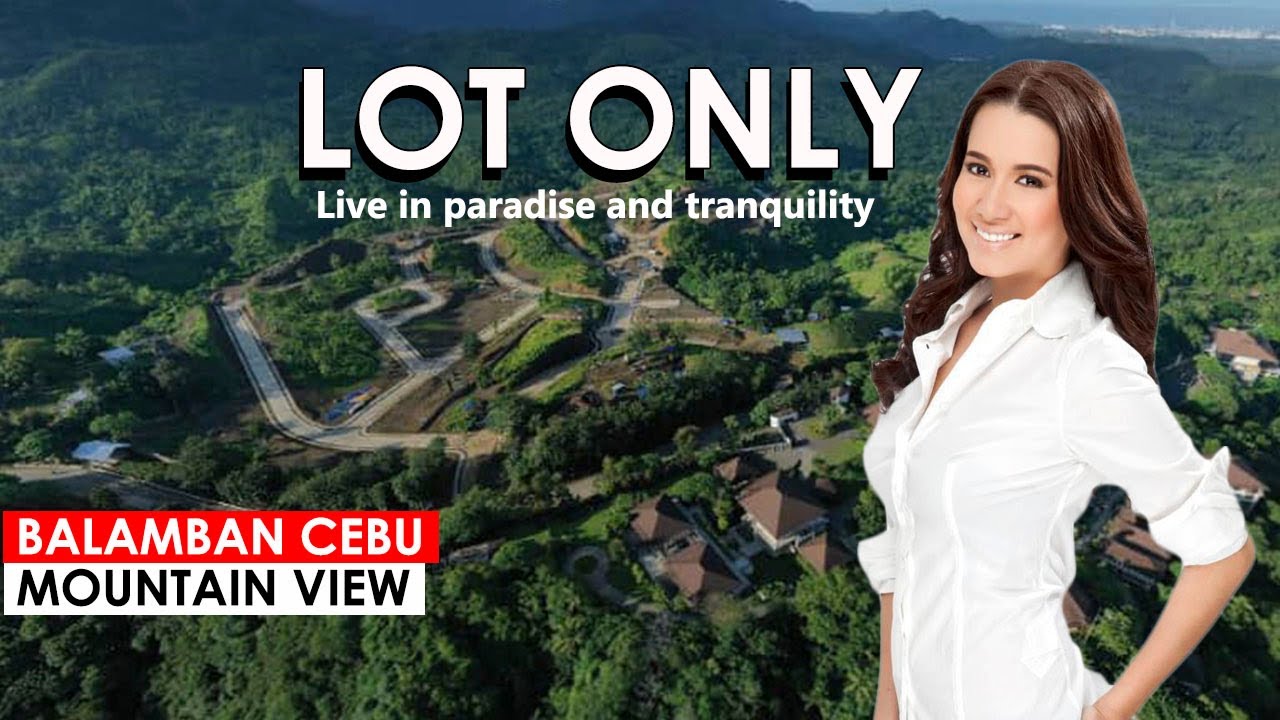 MOUNTAIN HOUSE & LOT