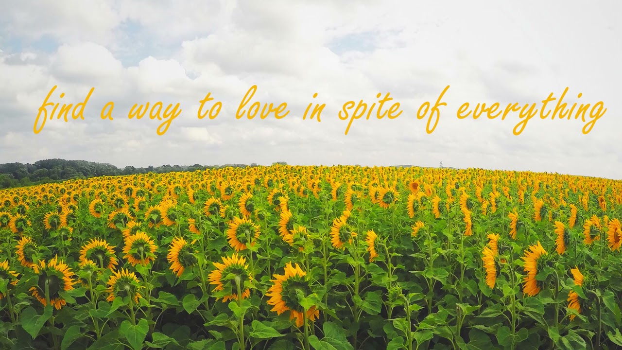 ROAR - The Opposite of Flowers (lyrics)