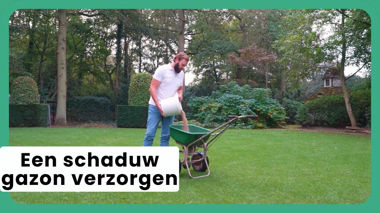 Hoe Verzorg Je een Schaduw Gazon?