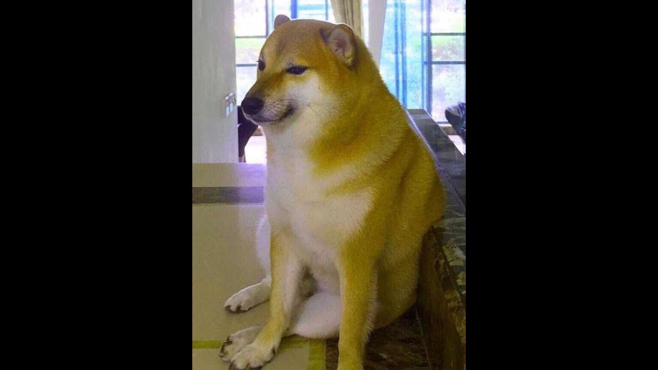 cheemsburger