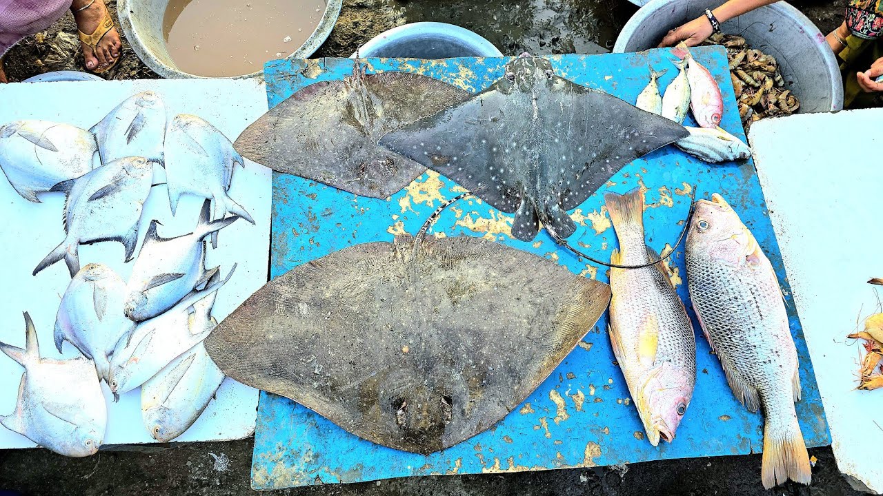 Diu Vnk || માછલી બજાર મા માછલી લેવા ગયા || Diu Vnk || fish market ma fish leva gaya #diu #fishboat
