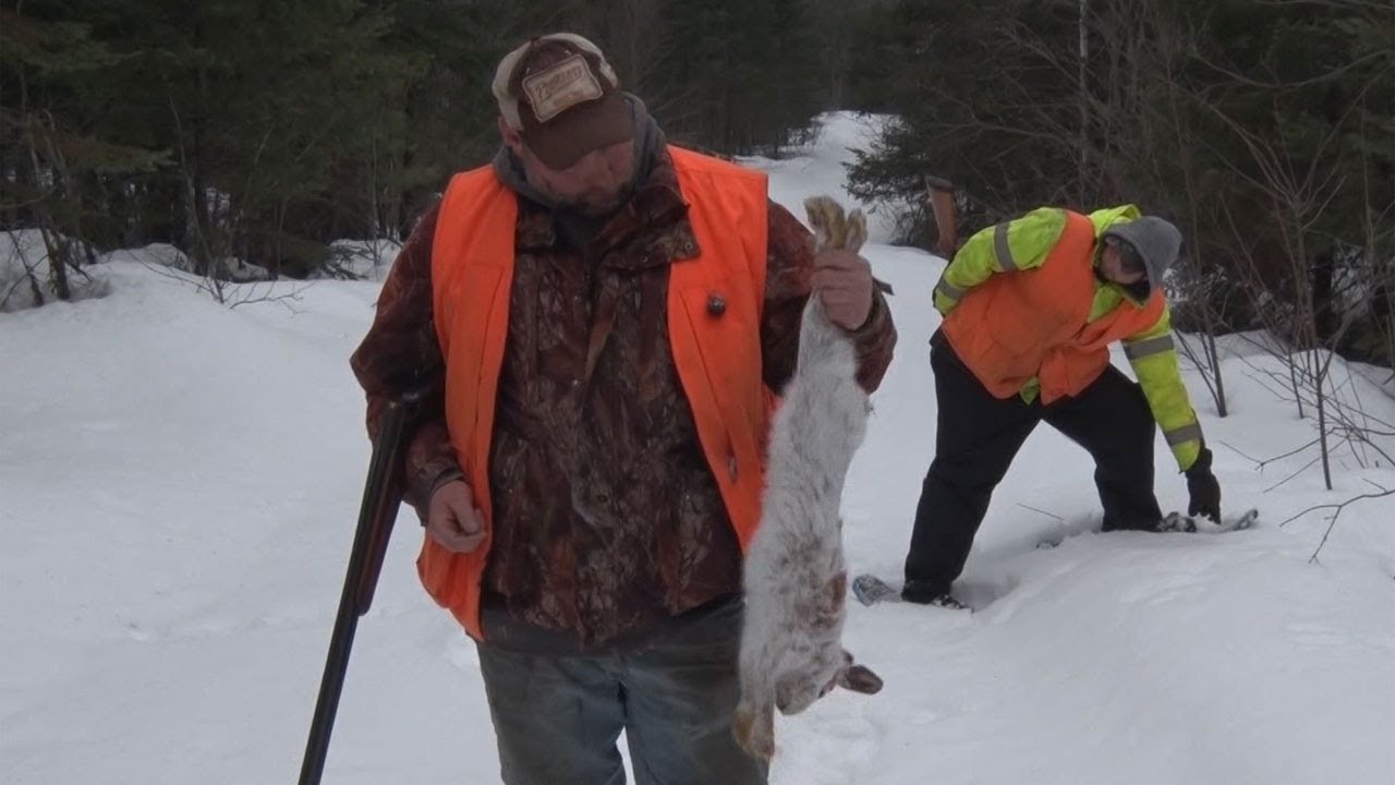 906 Outdoors - Rabbit Hunting. U.P. Dairy Farming.