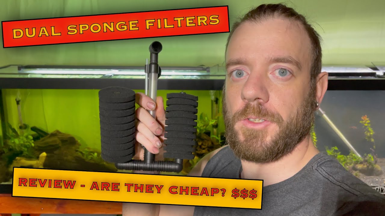 Dual Sponge Filter Review - Simple, Affordable, and Quality?? No Way!!!!!