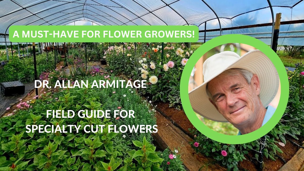 A Must Have Guide for Cut Flower Growers