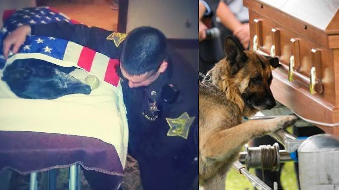 Dogs Funeral. Police K9 & Military Dogs. Thank You for Your Service.
