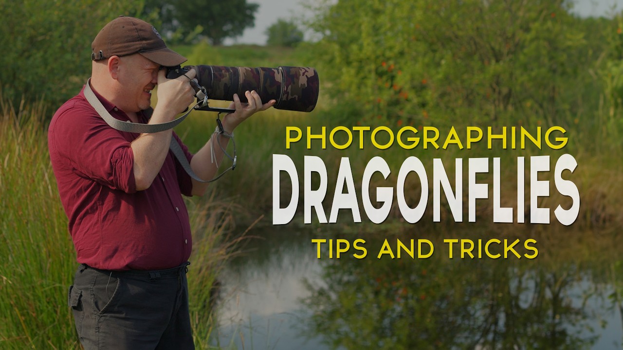 Sony A1 Dragonfly Photography: Pro Tips & Tricks for Capturing Stunning Shots