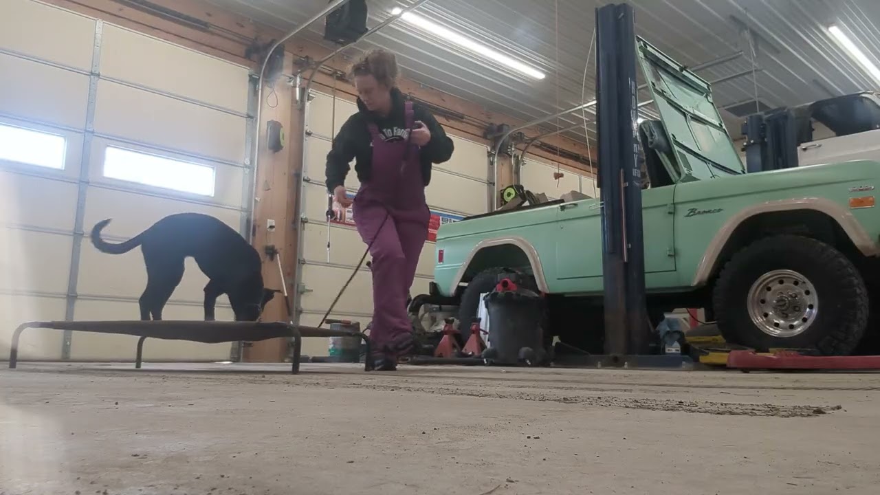 Jesabel Intro to E-collar tone recall (B&T day 11)