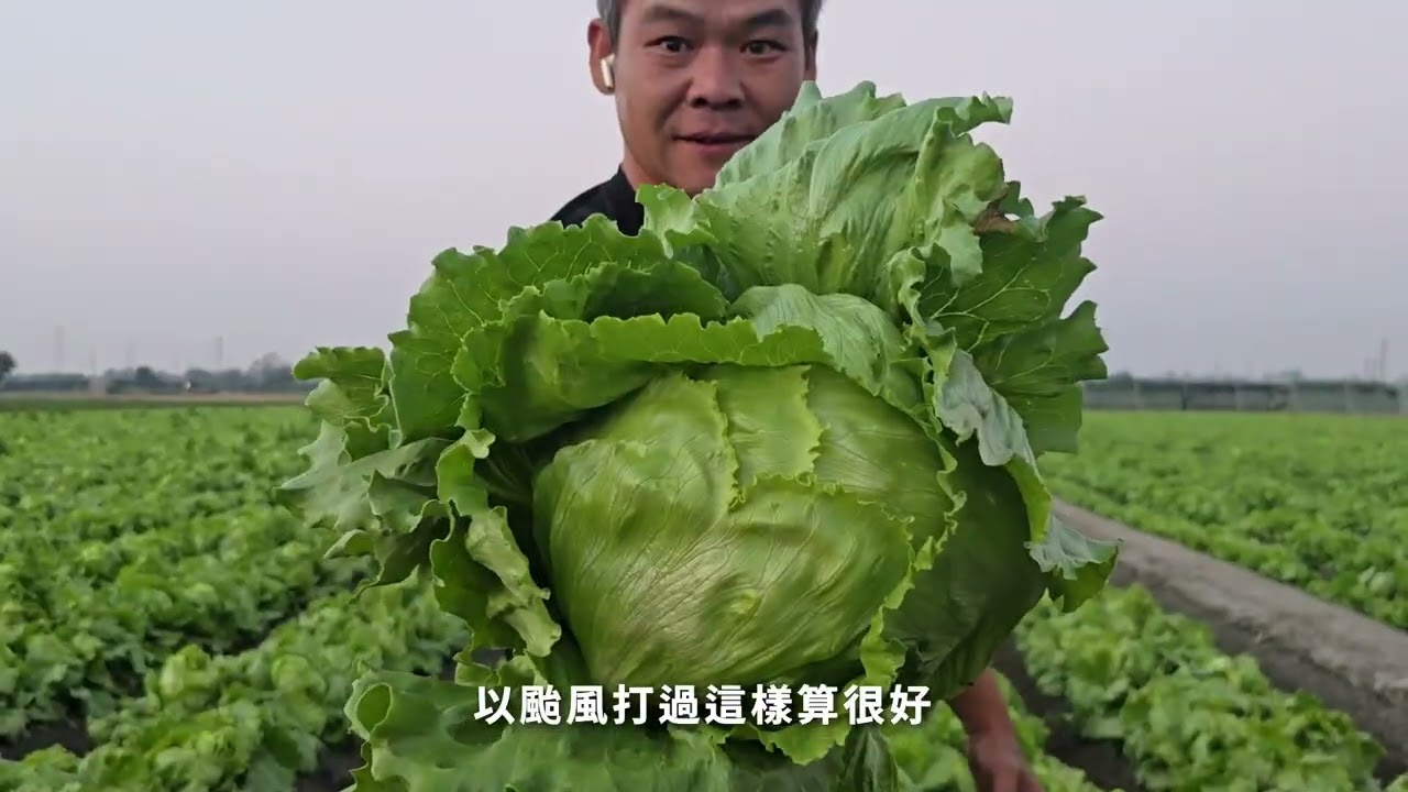 農業部 農糧署【光合菌培養計畫】八年回顧（107-114）