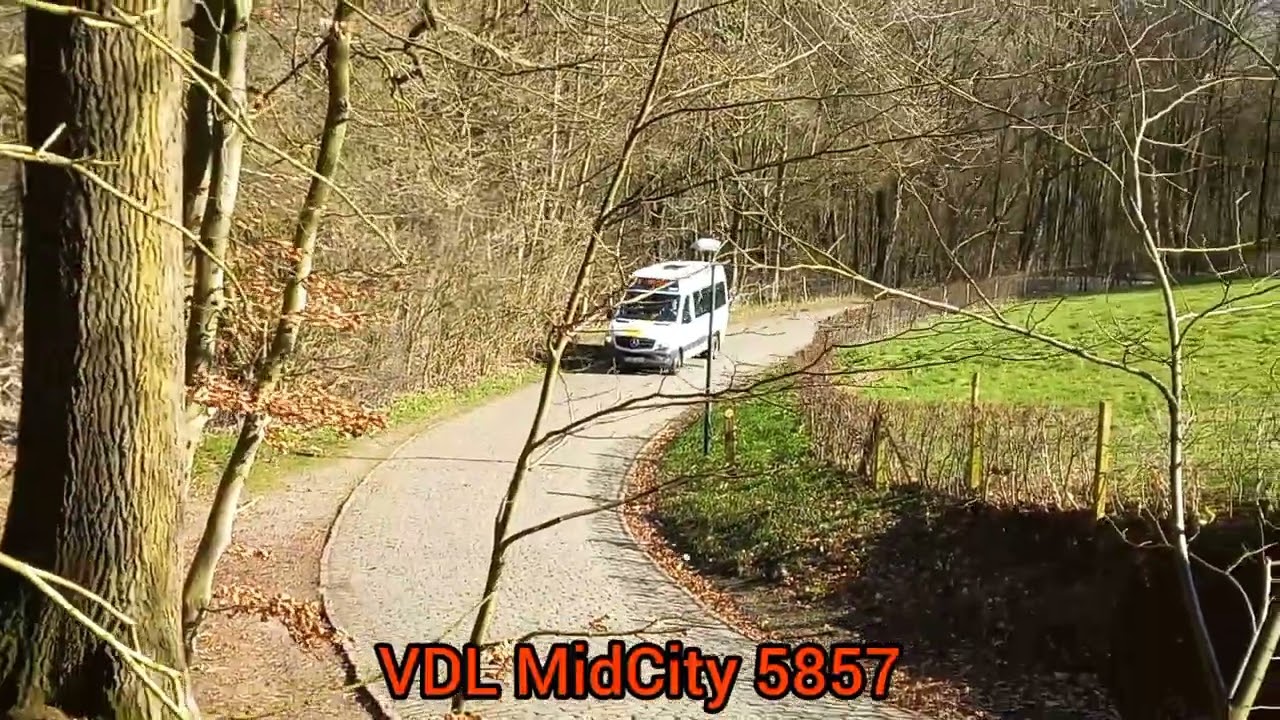 Belbussen van De Lijn beklimmen de Kemmelberg