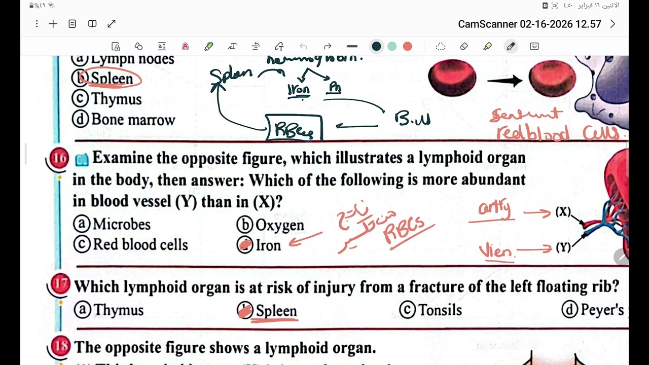 حل كتاب التفوق بيولوجي lesson 2 immunity from q1 to q42