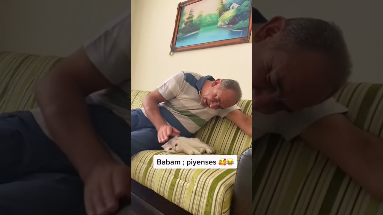 Annem ve babam evde kedi istemiyor😂😂