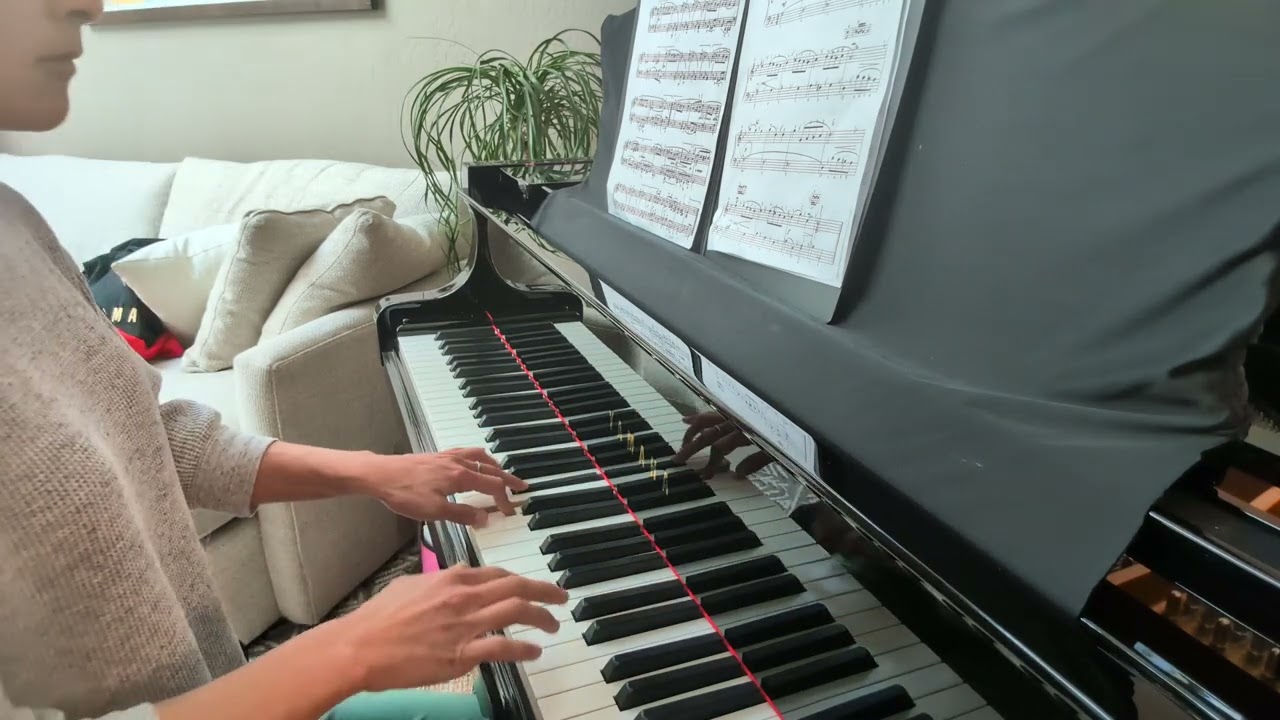 HW- Minuet in G minor by Christian Pezold