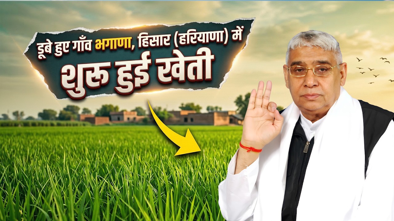 संत रामपाल जी महाराज की असीम मेहरबानी, डूबे हुए गाँव भगाणा, हिसार (हरियाणा) में शुरू हुई खेती।