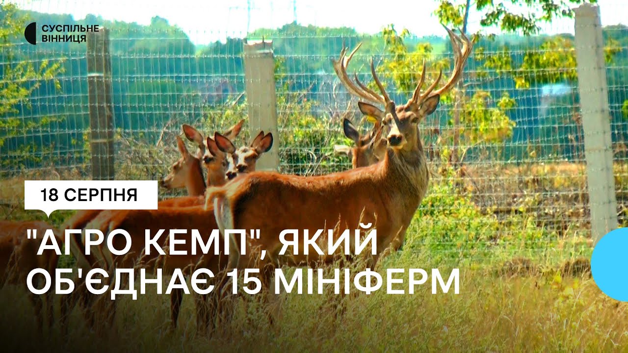 Олені, равлики, велика рогата худоба: на Вінниччині створюють 