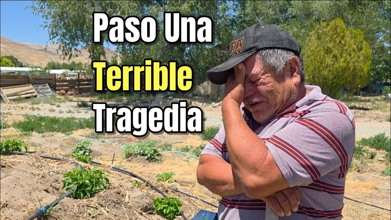 TRISTE TRAGEDIA! Don Chori Esta Muy Triste Por Lo Que Le Paso A Su Hijo!