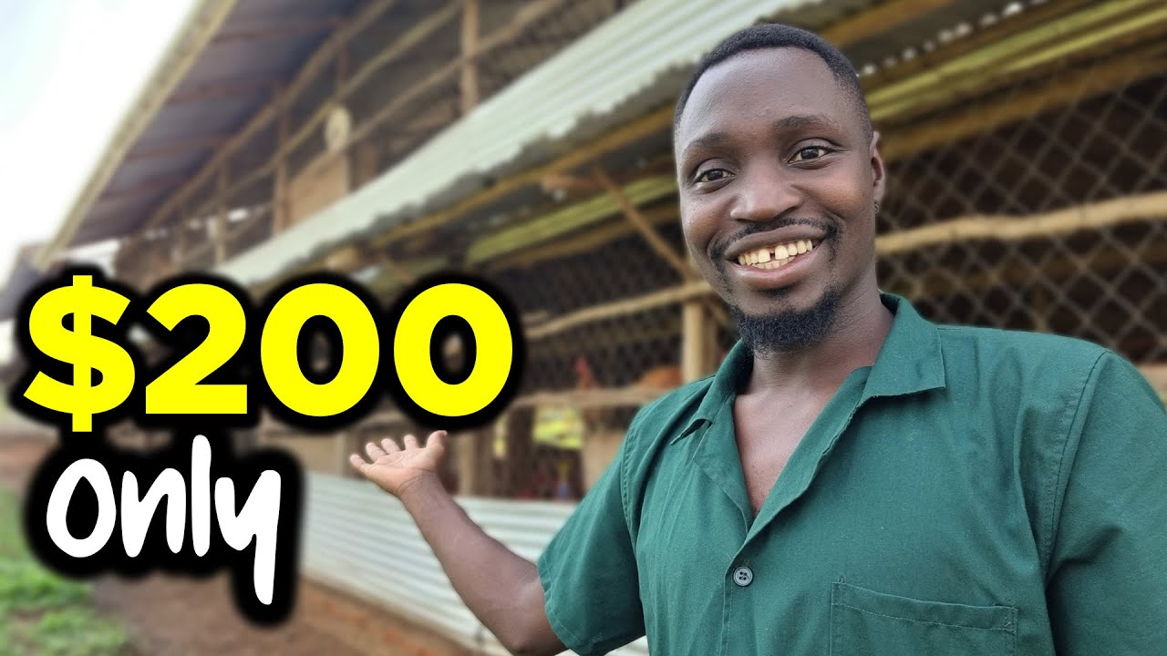 How to Start a Poultry Farm with ONLY $200