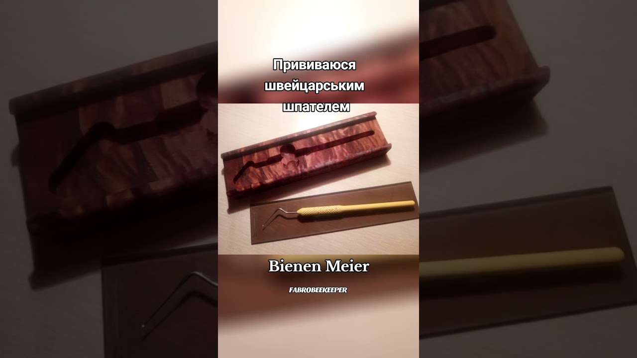Швейцарский шпатель.               #fabrobeekeeper