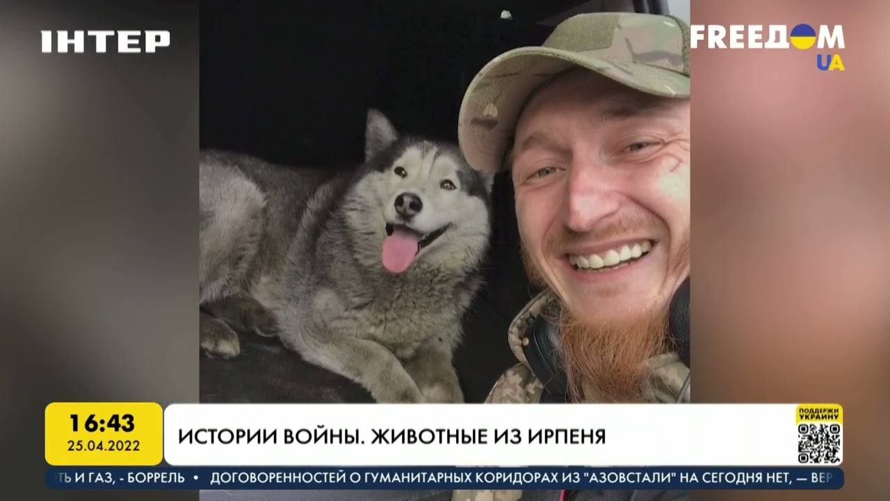 Истории войны: животные из Ирпеня | FREEДОМ - UATV Channel