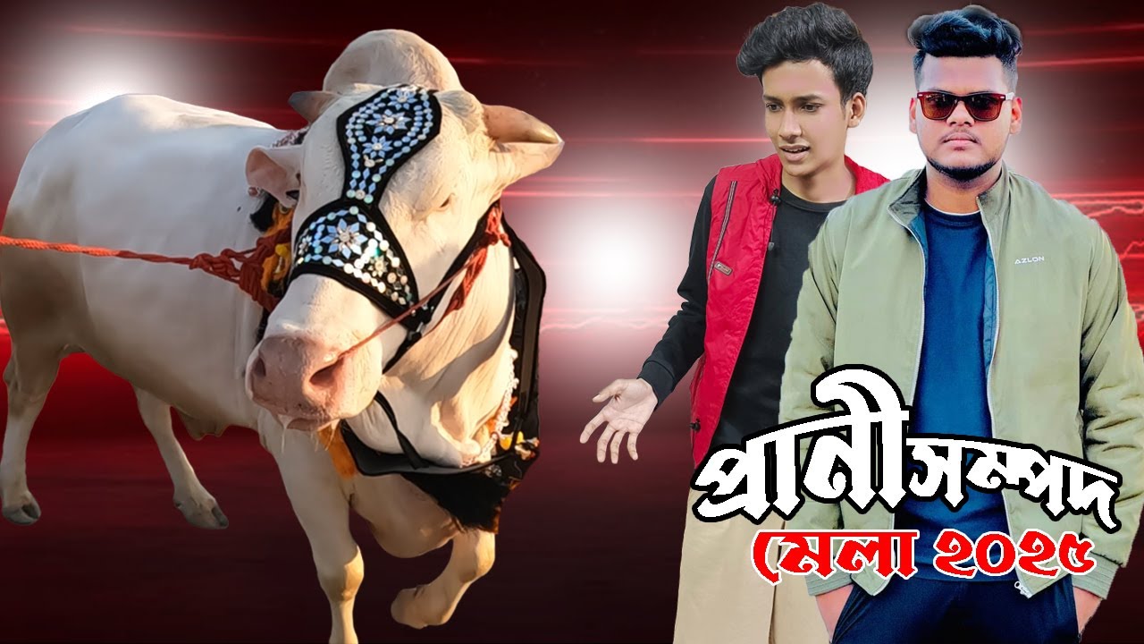 প্রানীসম্পদ মেলা মাতিয়ে দিলো খান এগ্রোর জিউস । Cattle Expo 2025 । Cow video । SD Family World