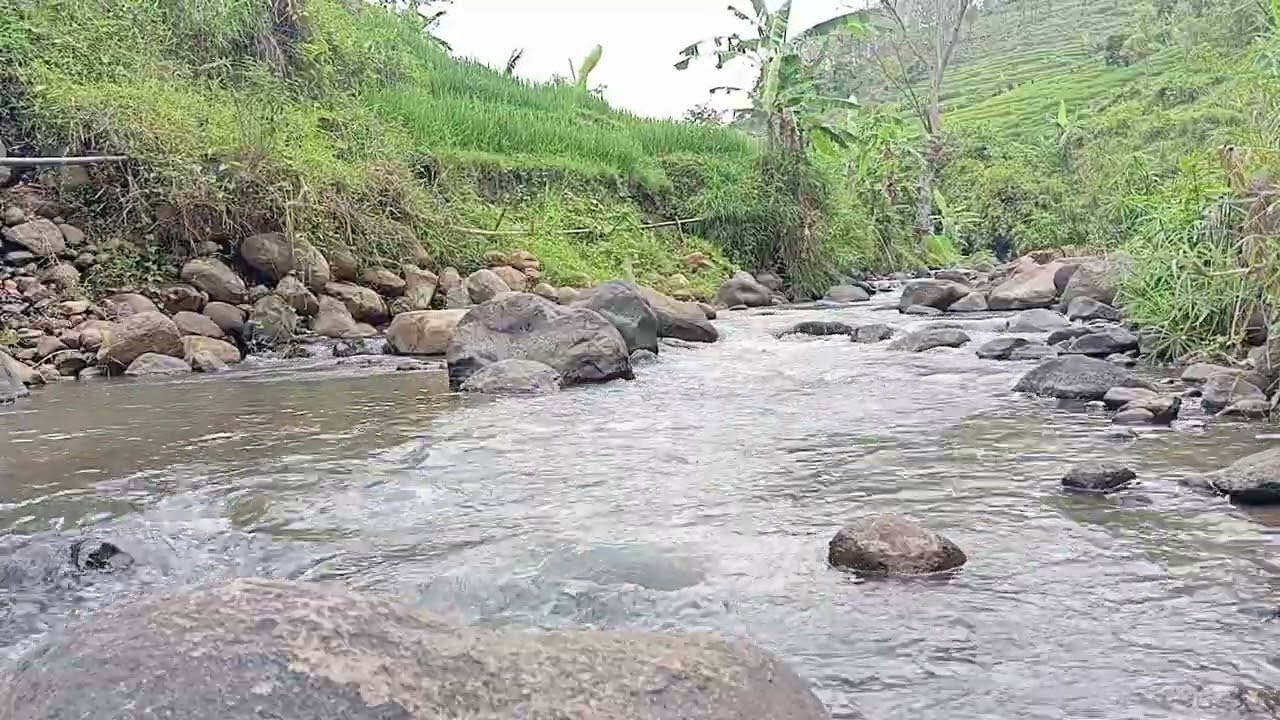 Beruhigende Geräusche eines Waldbachs und Gebirgsflusses zum Stressabbau – Waldfluss