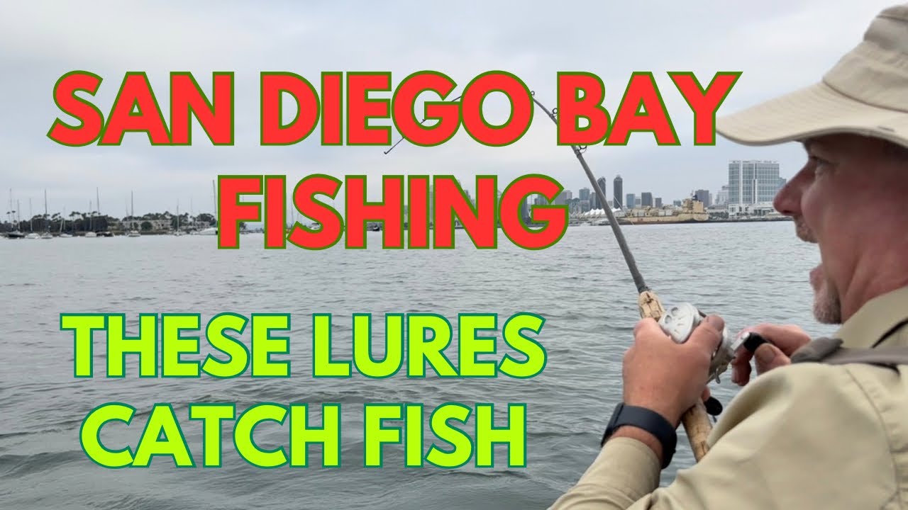 San Diego Bay Fishing: THESE LURES CATCH FISH!