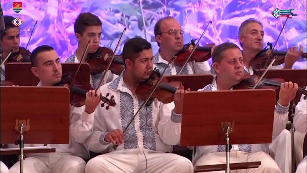 Ansamblul Profesionist Banatul - Suită de orchestră