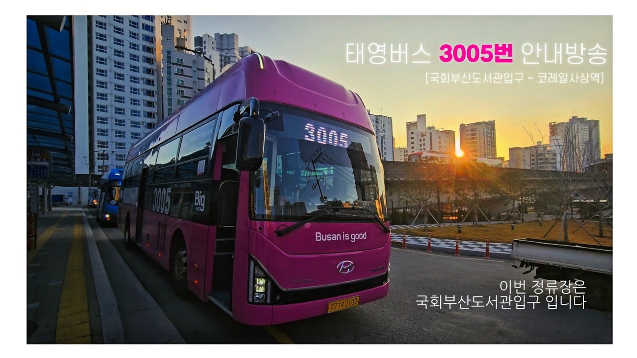 [안내방송] 부산시내버스 3005번 안내방송 모음집
