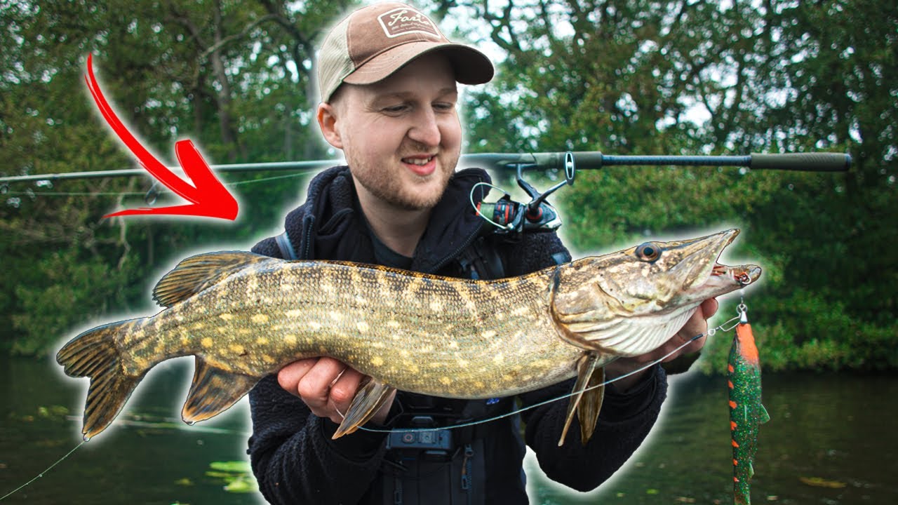 Łowienie Szczupak&oacute;w Z Lądu! 🎣 (English Subtitles)