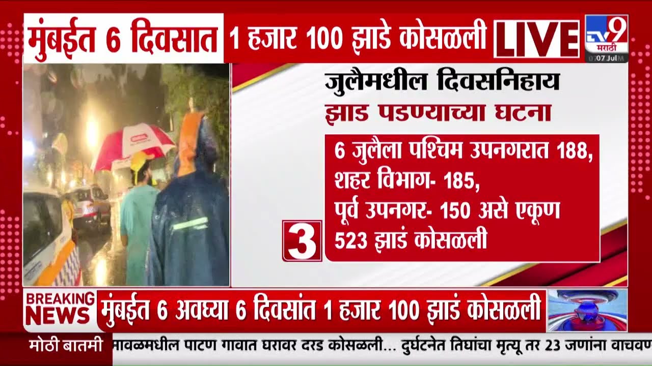 Mumbai Tree Collapse | मुंबईत 6 दिवसात 1 हजार 100 झाडे कोसळली