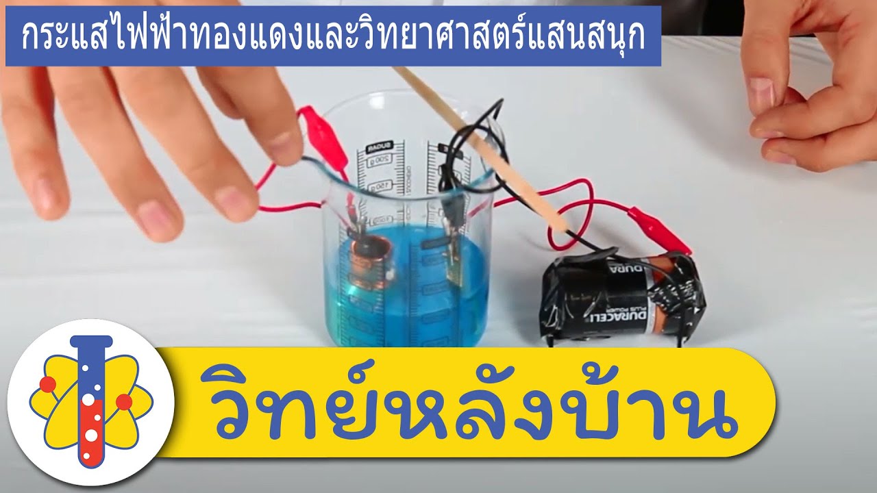 Copper Electrolysis | การแยกสลายด้วยไฟฟ้าของทองแดง  | วิทยาศาสตร์สนุกๆ | วิทย์หลังบ้าน
