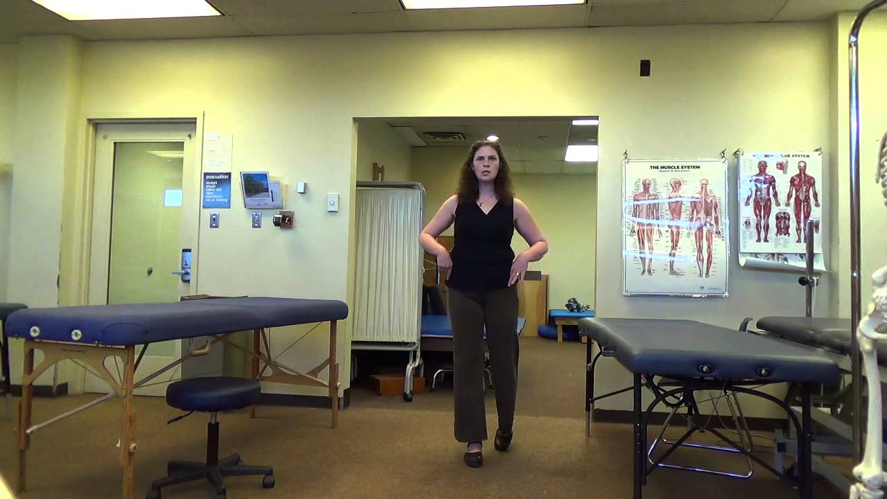 Muscle activity of gait