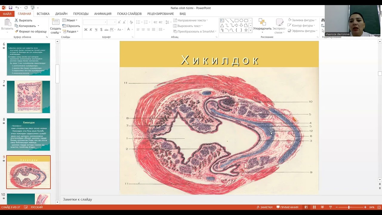 Nafas olish sistemasi