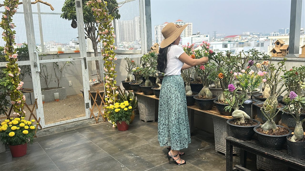 Trang trí nhà cửa chuẩn bị đón Tết 2026 | PMK JOLIE