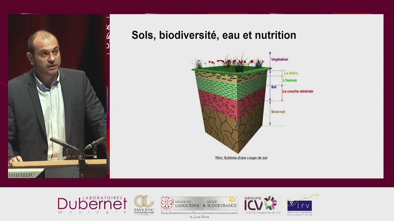 L’agro-œnologie - Matthieu DUBERNET (Laboratoires DUBERNET)