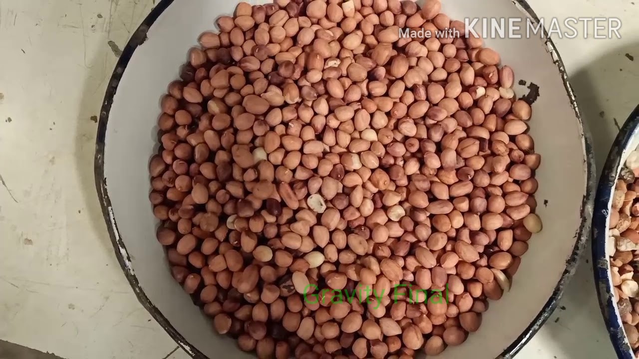 Fully Automatic Peanuts Cleaning - Processing Plant