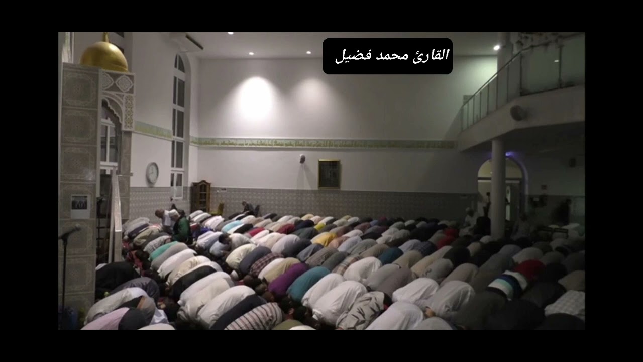 محمد فضيل  ( سورة الصفت وص  ) تراويح 2023 من مسجد المهاجرين في مدينة  بون