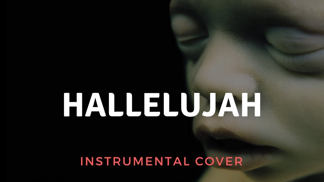 Rammstein - Hallelujah Instrumental Cover (2001 Live Version)