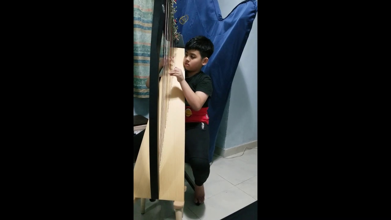 Music@e-Contest 2020 / CAT:C / Harp / Tsz Leong Chan (Hong Kong)