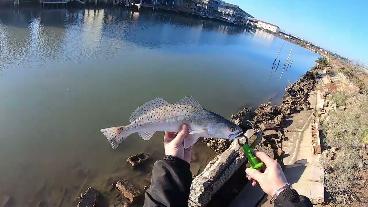 Port Isabel Tx Fishing