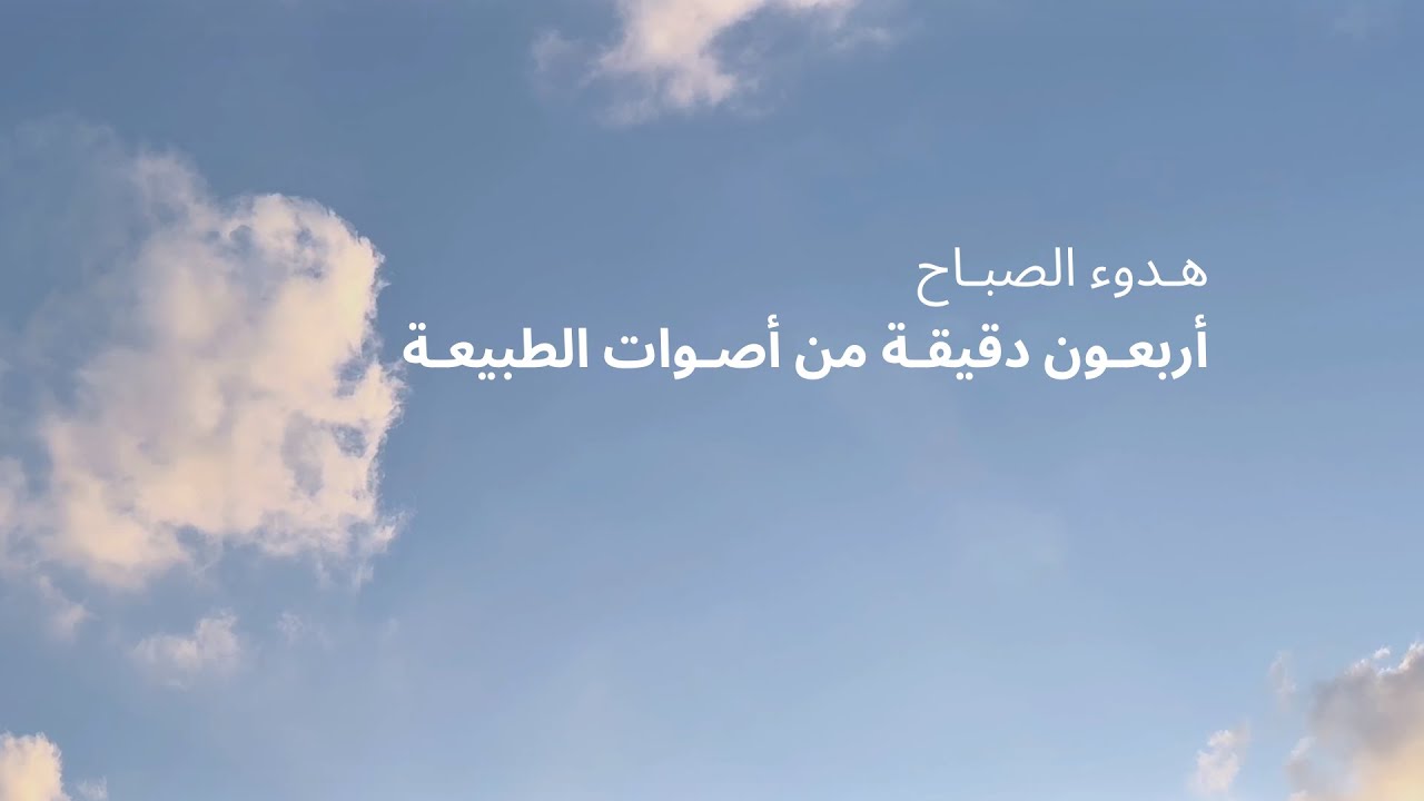 Morning Calm ☀️ 40 دقيقة أصوات طيور للاسترخاء والتركيز