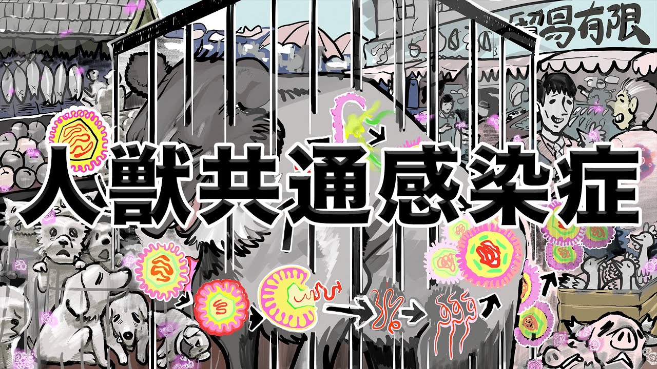 人獣共通感染症　あべりょう