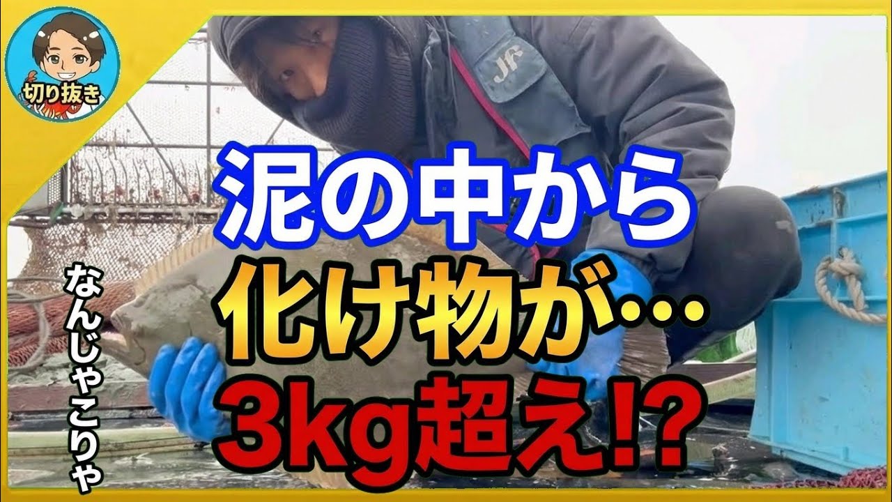 【漁師まさと】まさかの3kg越え！？泥の中から化け物が現れた…その正体とは！？【釣り 瀬戸内 漁師 切り抜き fish fishing fisherman SETOUCHI 船 給料】