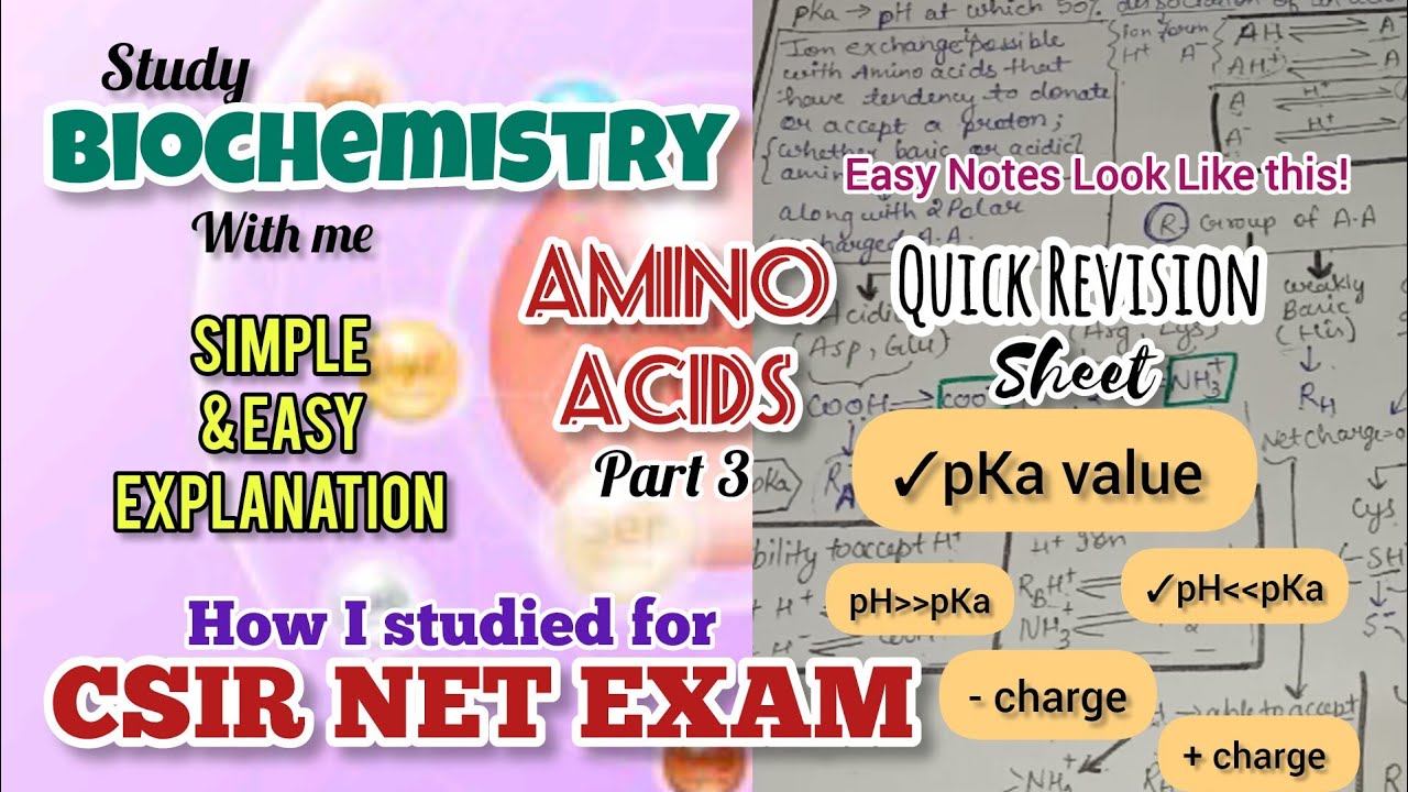 Amino Acids | Part 3 | CSIR NET | Biochemistry | #csirnet #bsc #msc #aminoacids #biochemistry