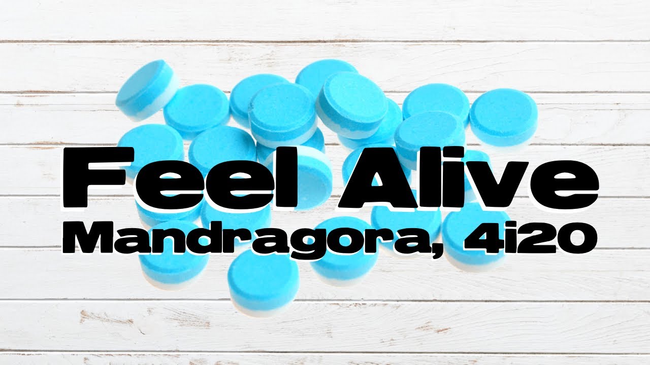 Mandragora & 4i20 - Feel Alive (Original Mix)